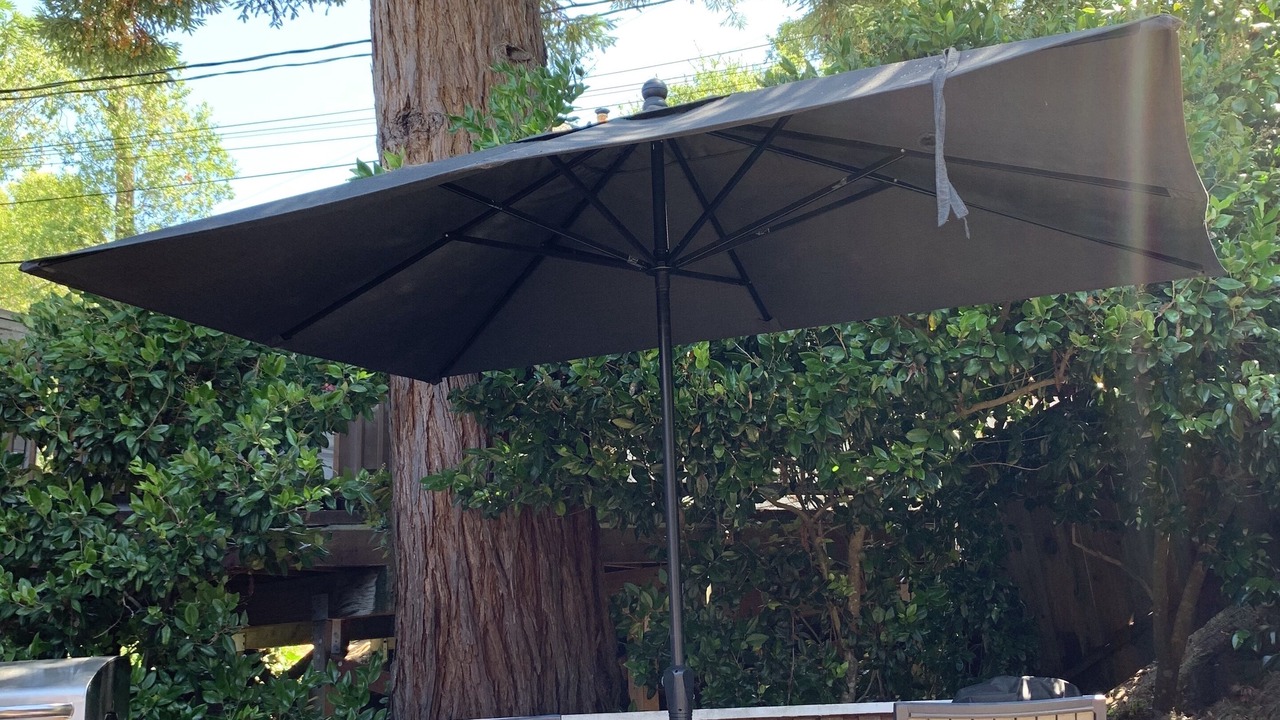 Photo of Others in Almonte