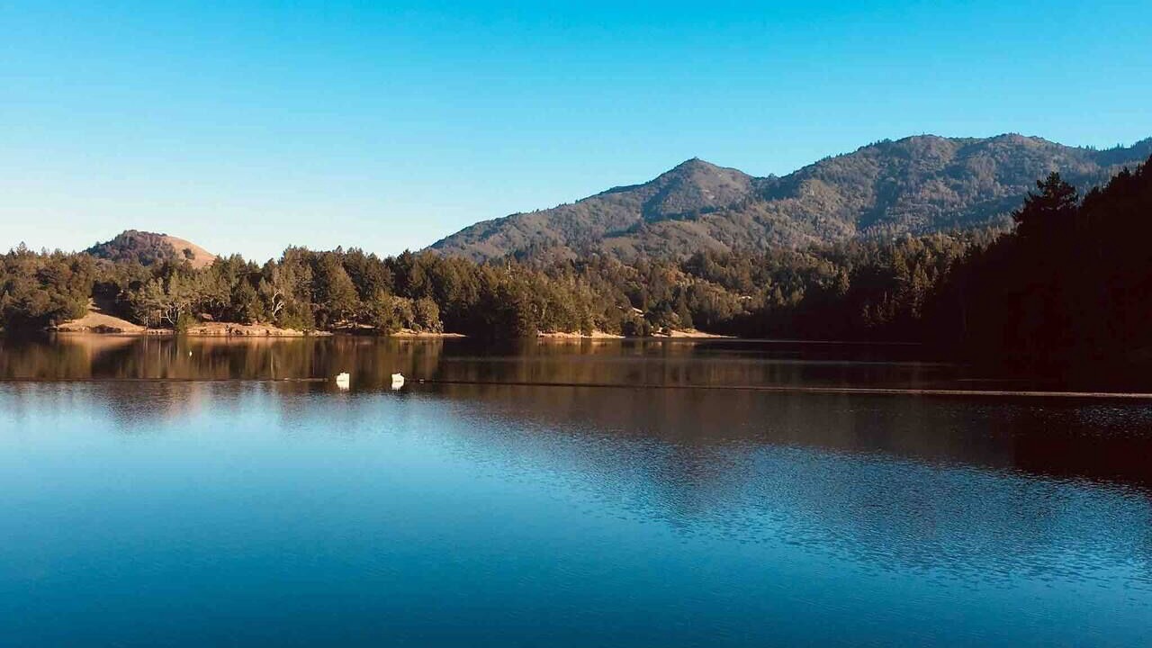 Photo of Others in Almonte