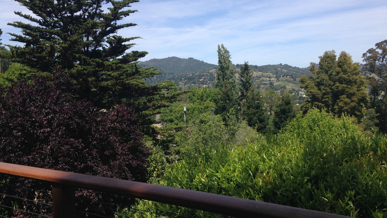 Photo of Others in Almonte