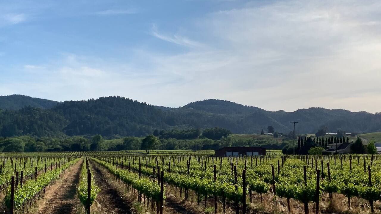 Photo of Others in Almonte