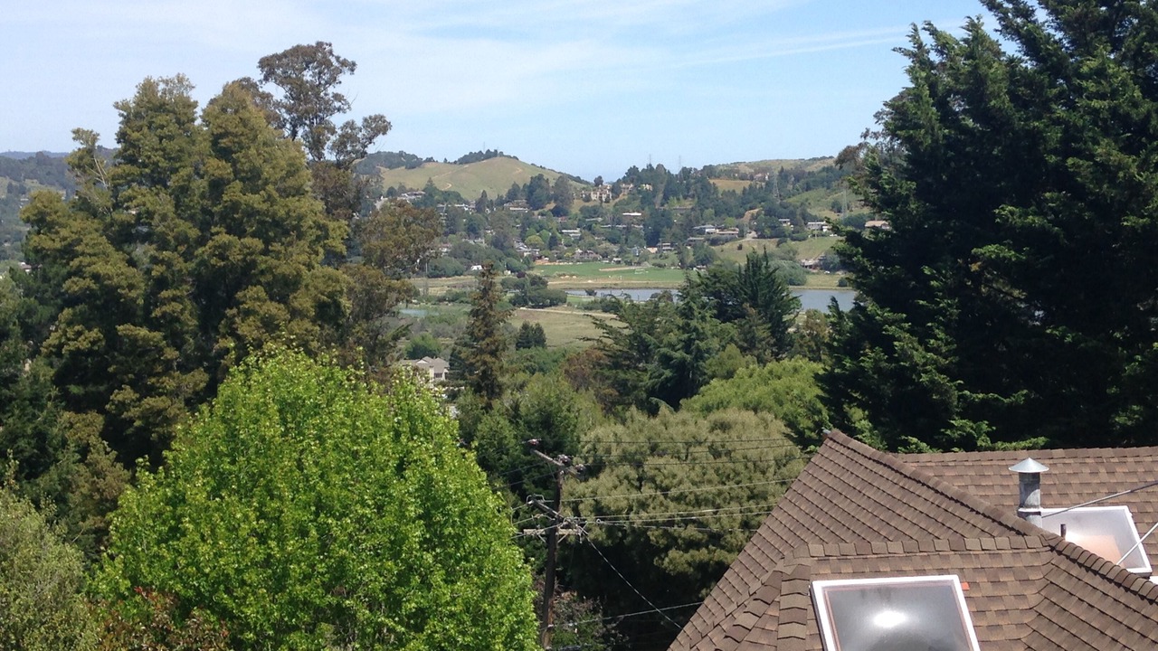 Photo of Others in Almonte