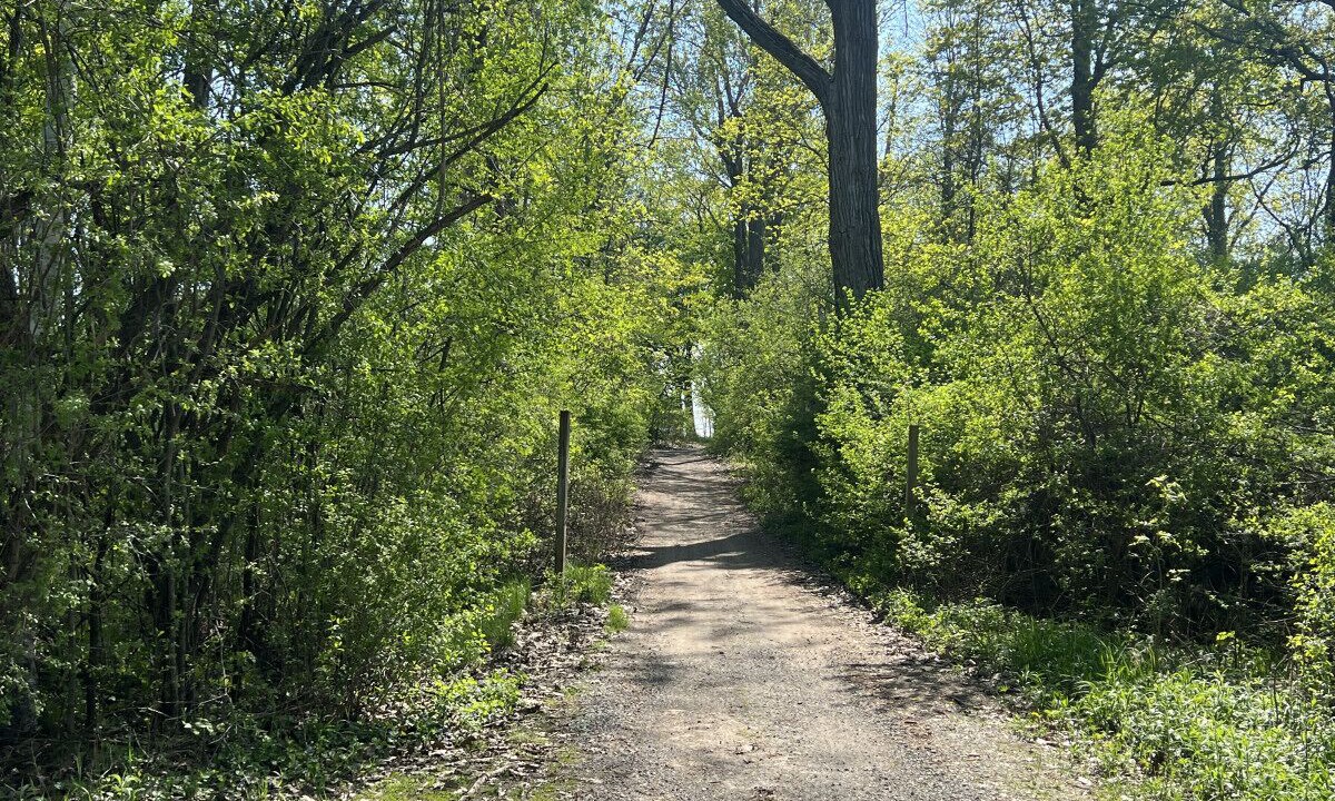 Photo of Outdoor in Wellesley Island