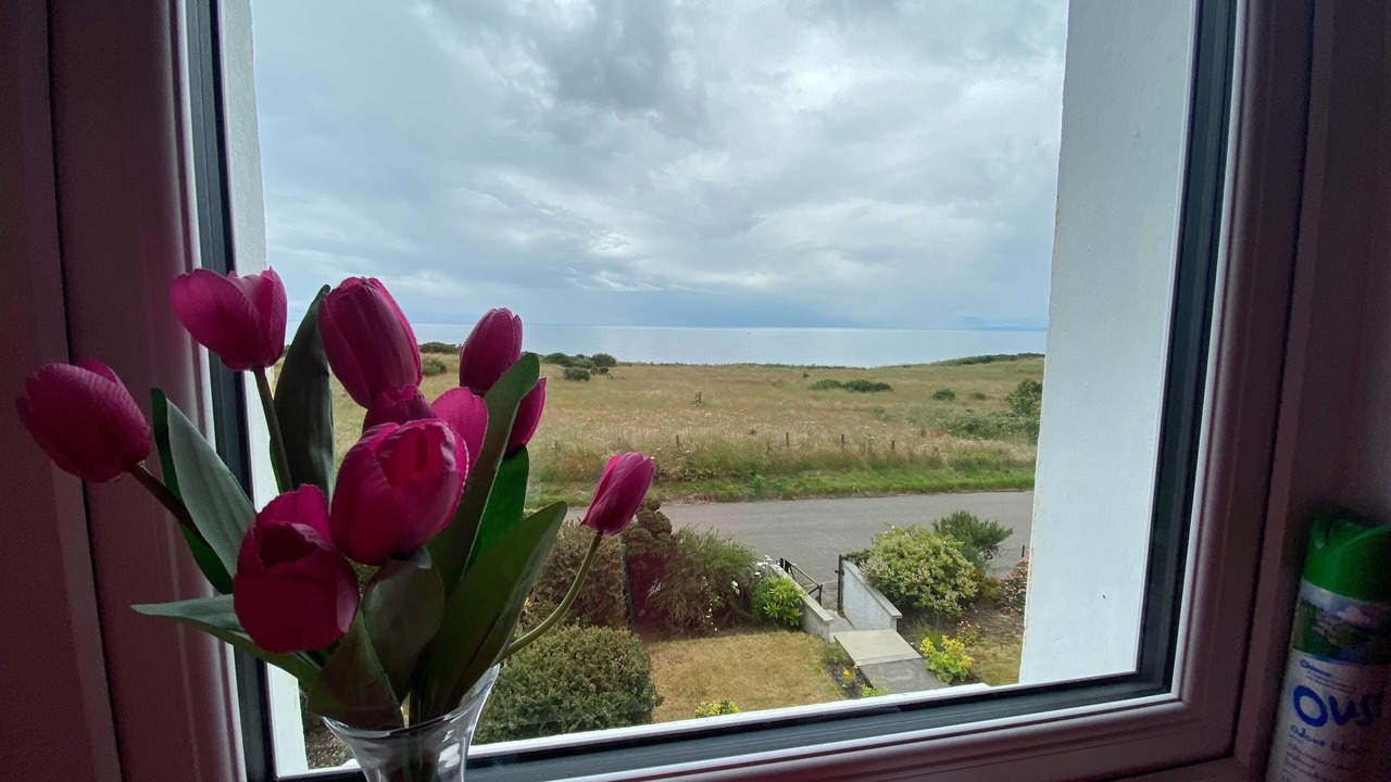 Photo of Others in Helmsdale