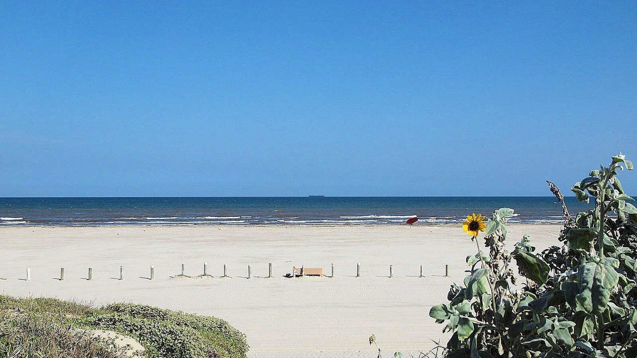 Photo of Others in Sand Point