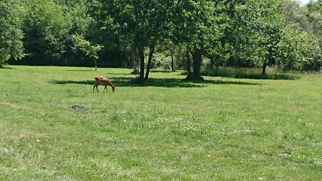 Photo of Others in Gaillan-en-Medoc