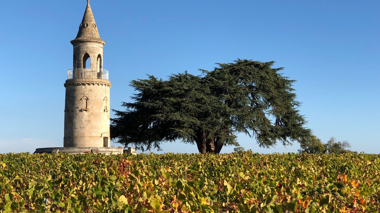 Photo of Others in Gaillan-en-Medoc