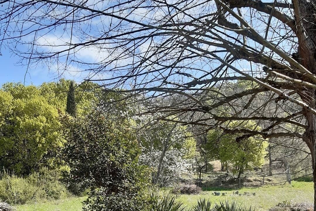 Photo of Outdoor in Muret