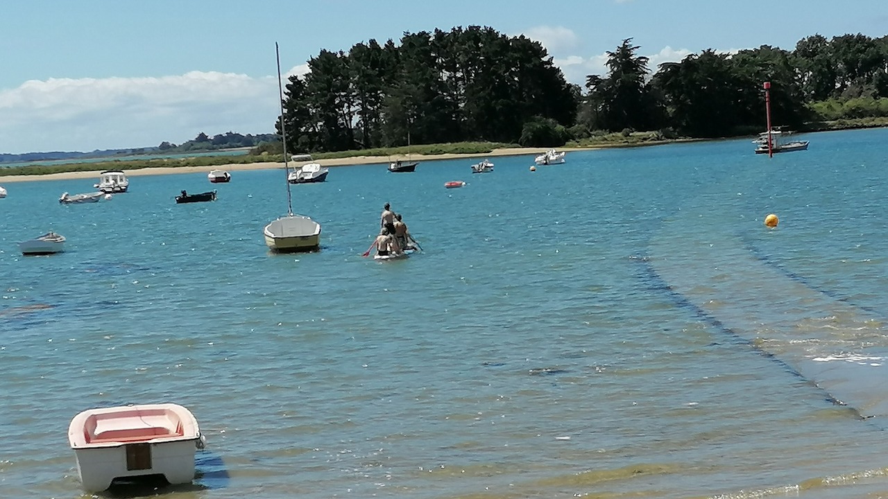 Photo of Others in Sene