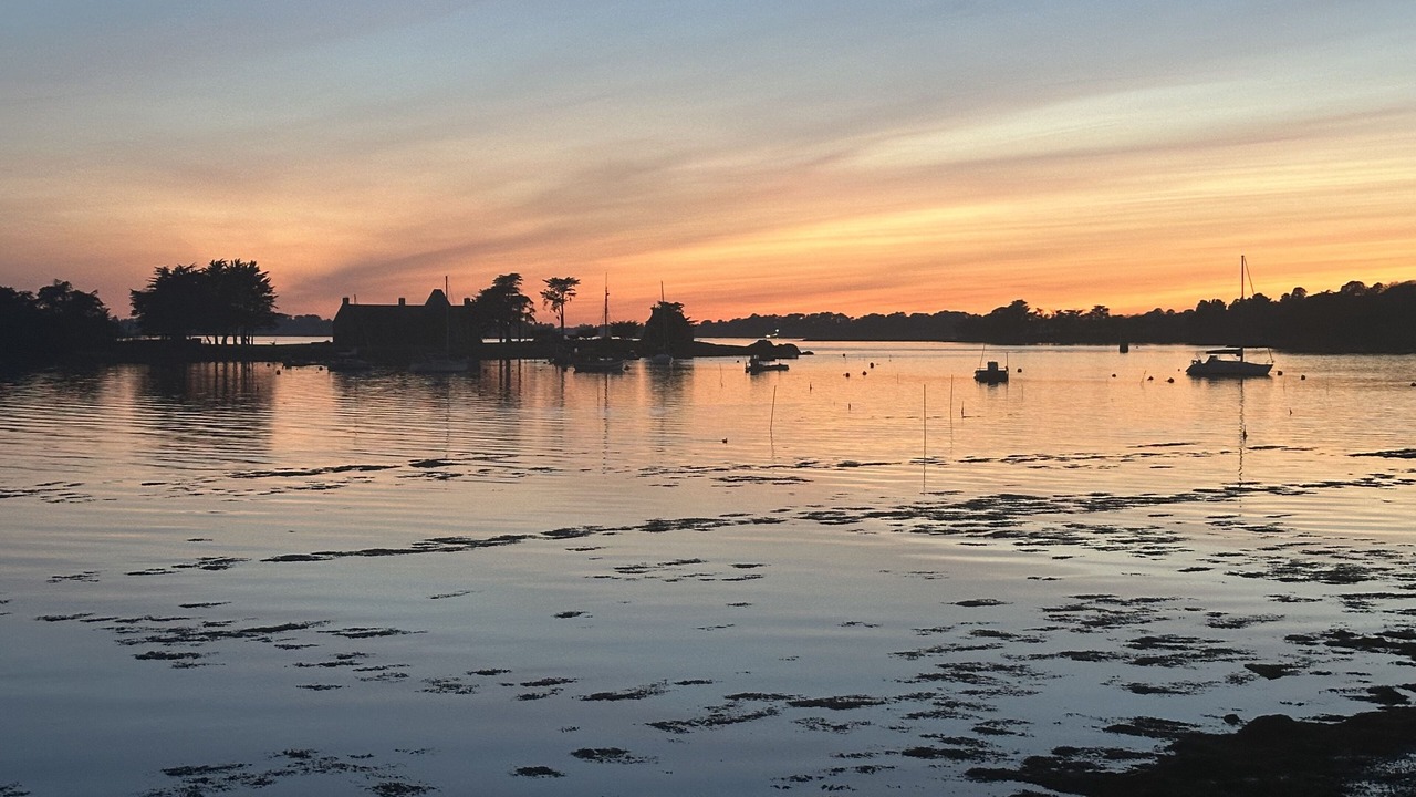 Photo of Others in Sene