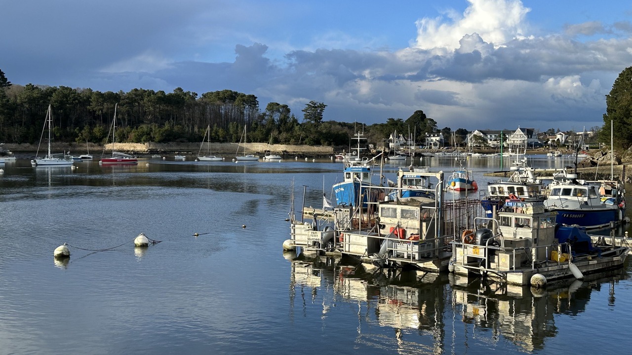 Photo of Others in Sene