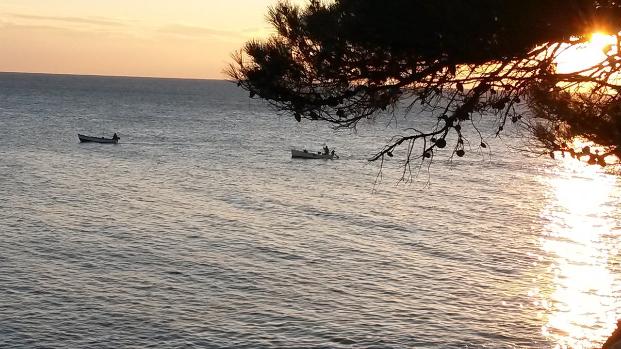 Photo of Outdoor in Cove Murtar