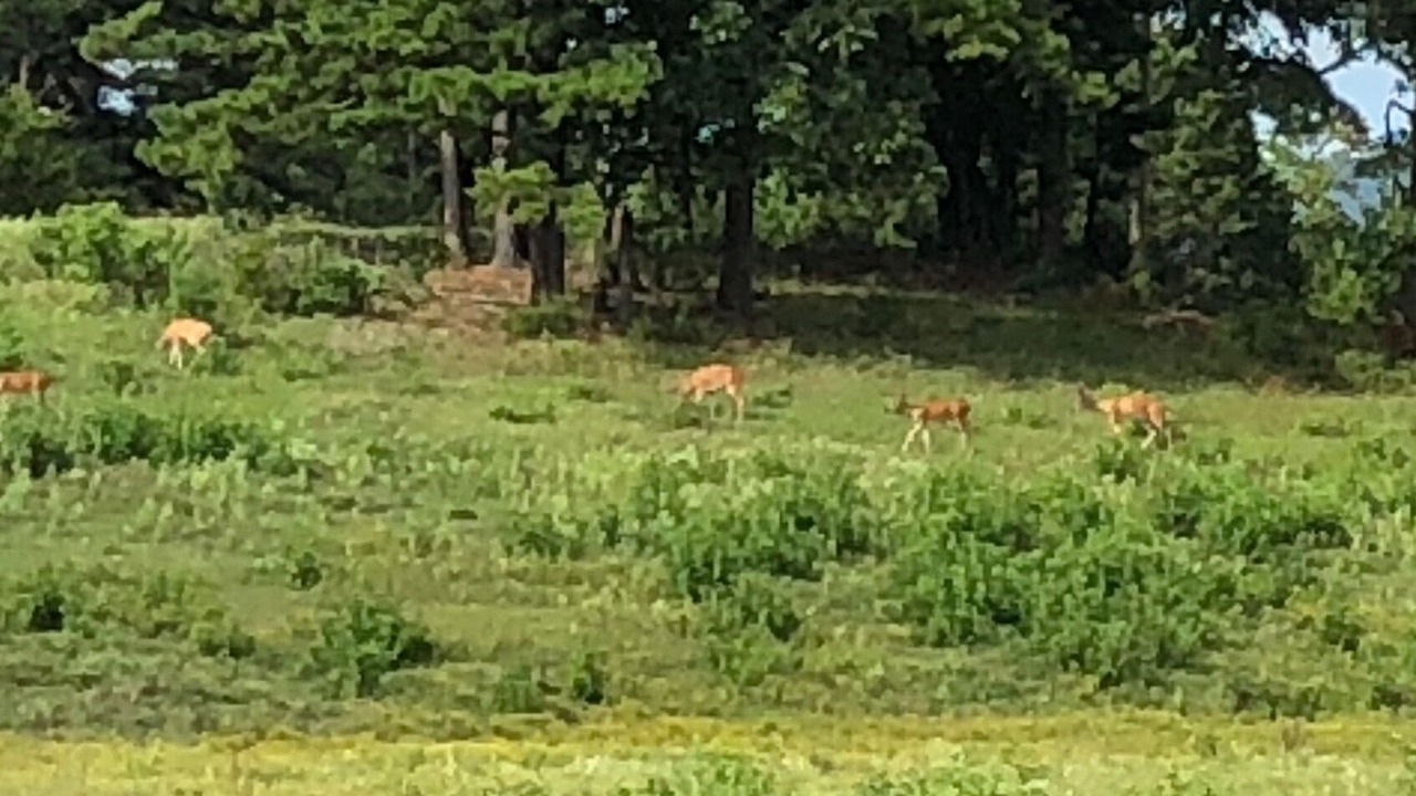 Photo of Outdoor in Nashoba