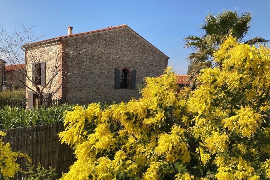 Photo of Outdoor in Ortaffa