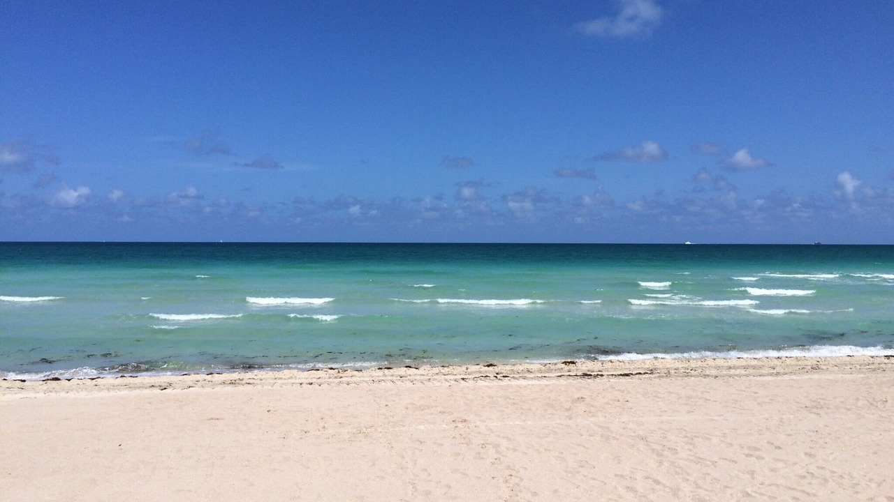 Photo of Others in Mid Beach