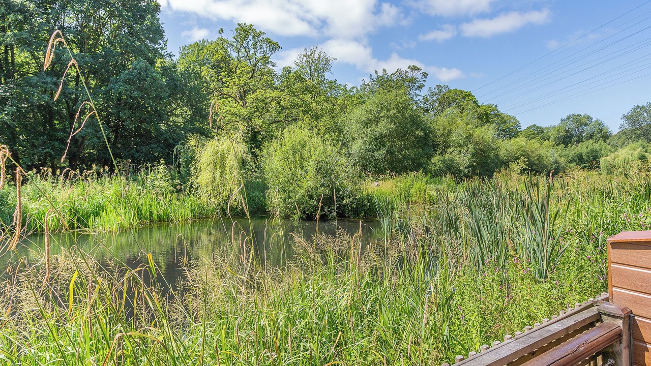 Photo of Patio Balcony in Rastrick