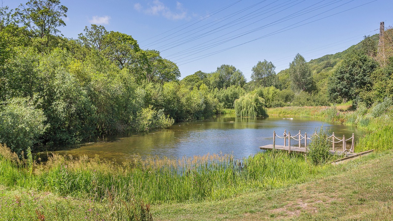 Photo of Others in Rastrick