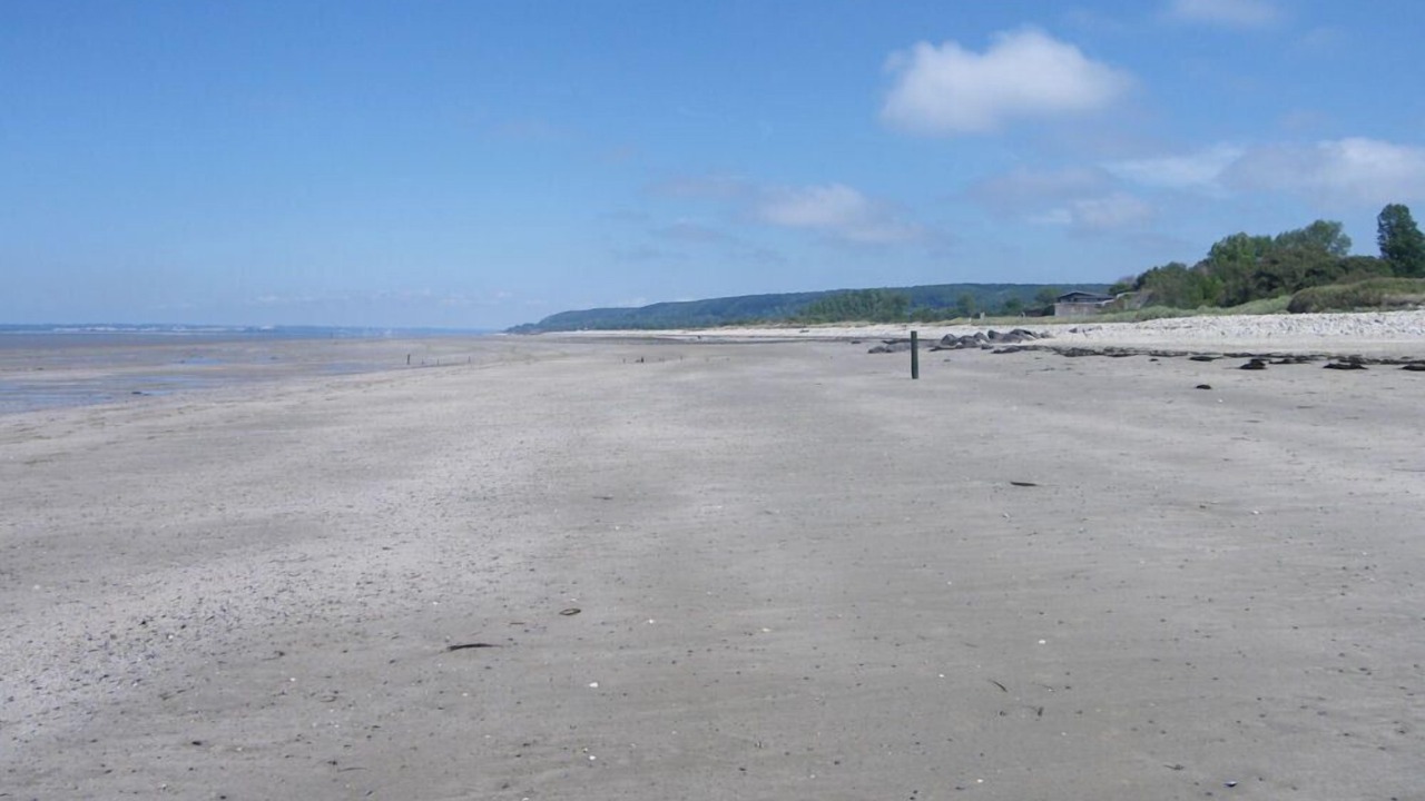 Photo of Others in Pennedepie