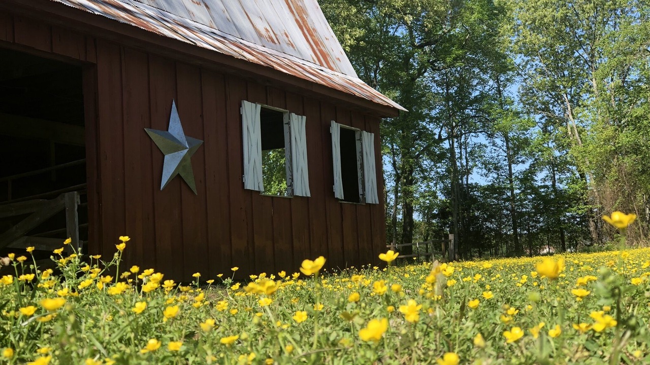 Photo of Outdoor in Hickory Plains