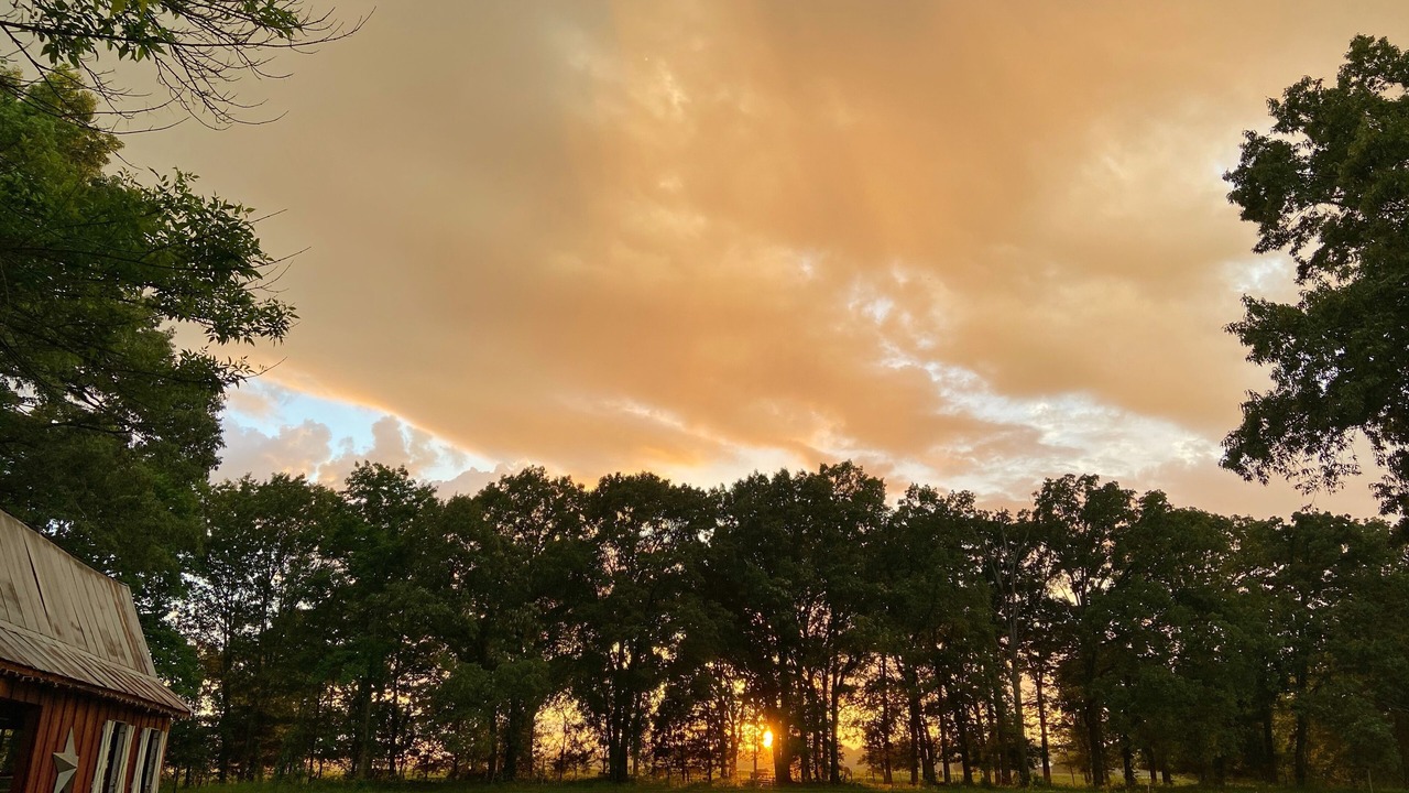 Photo of Others in Hickory Plains
