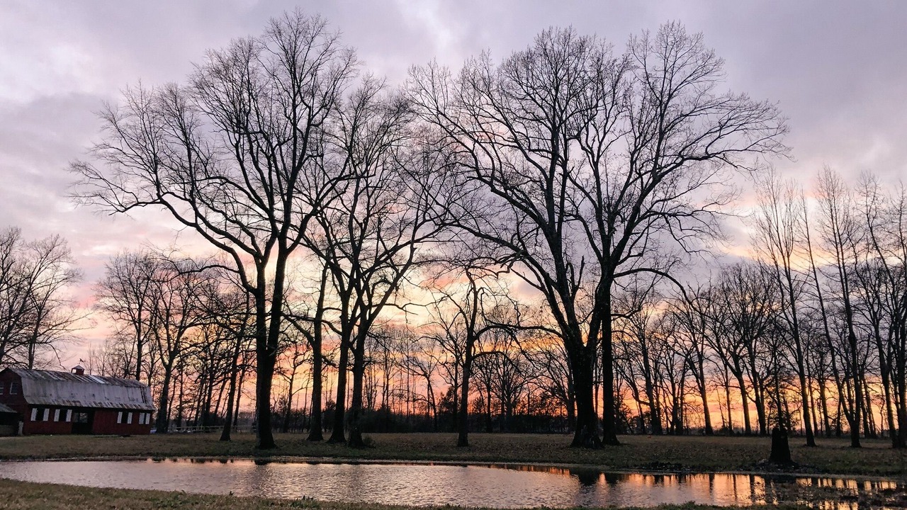Photo of Others in Hickory Plains
