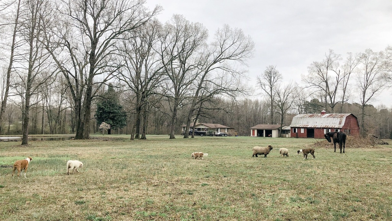 Photo of Outdoor in Hickory Plains
