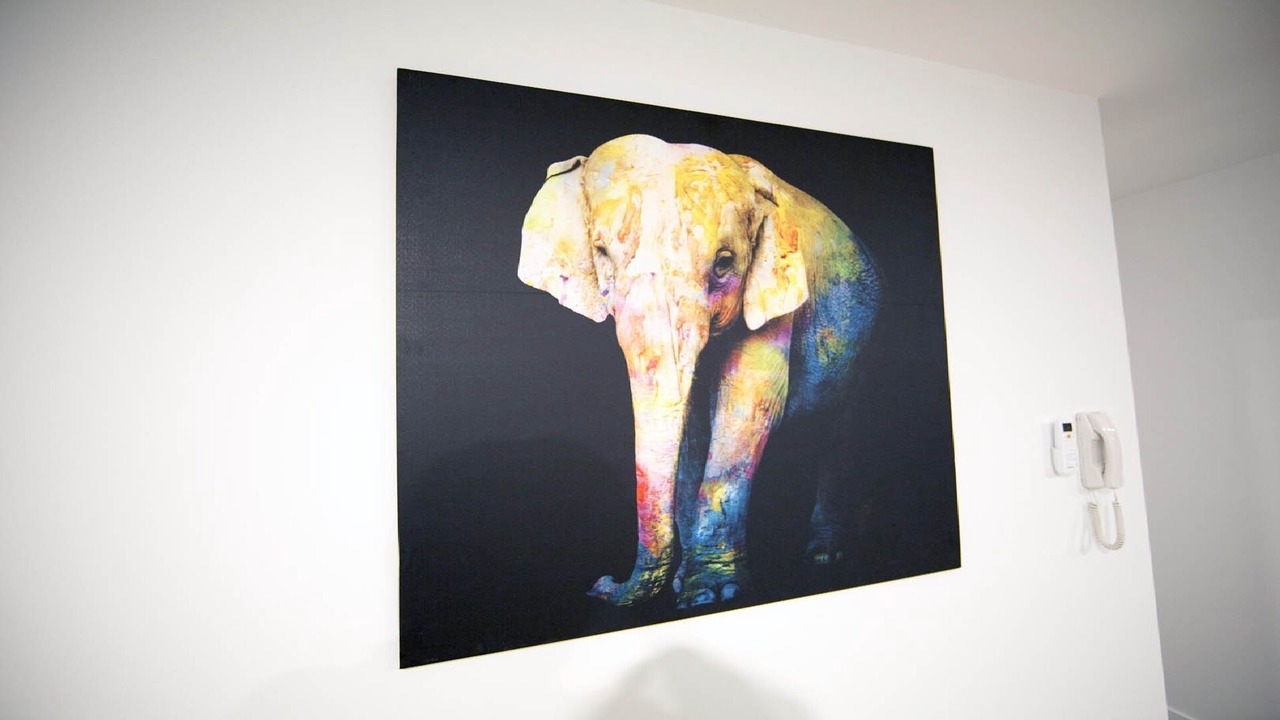 Photo of Others in Bundall