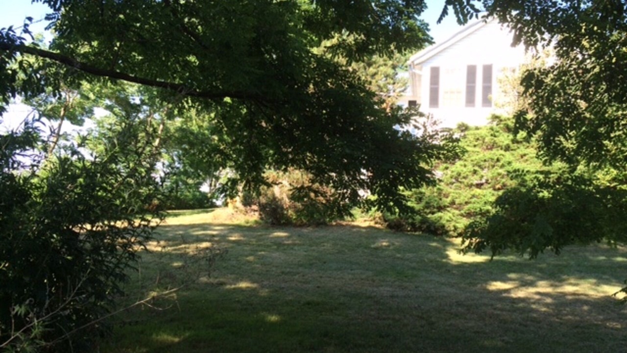 Photo of Outdoor in Wolcott