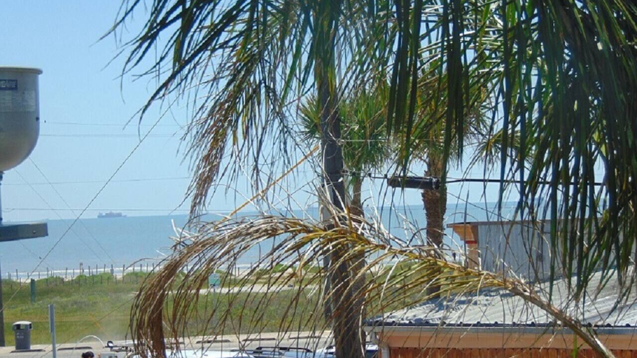 Photo of Outdoor in San Jacinto