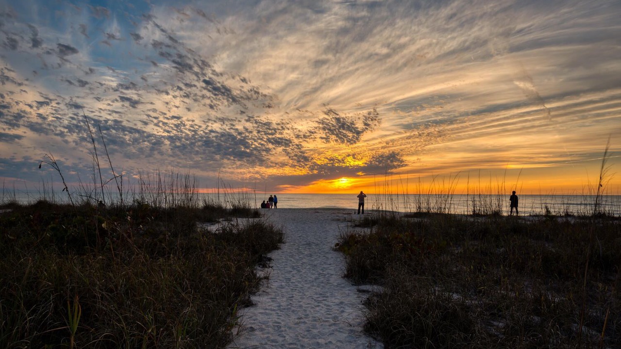 Photo of Others in Nokomis