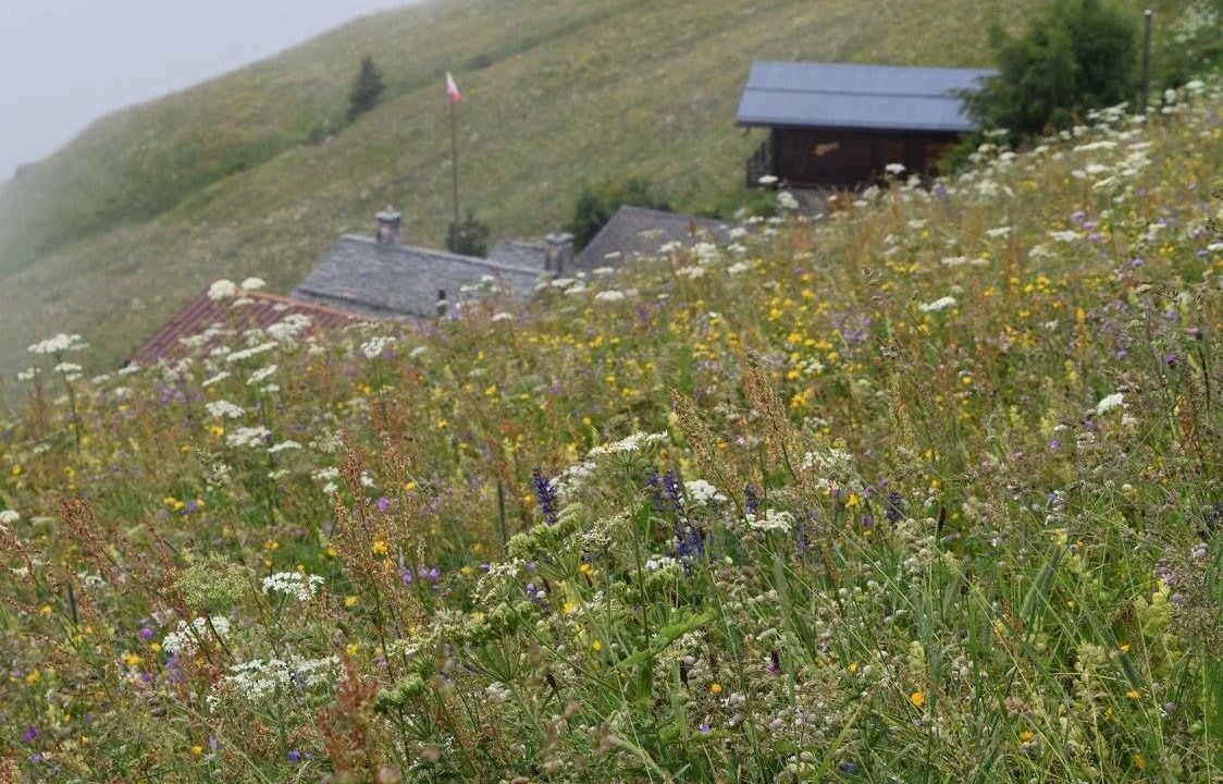 Photo of Outdoor in Verbier