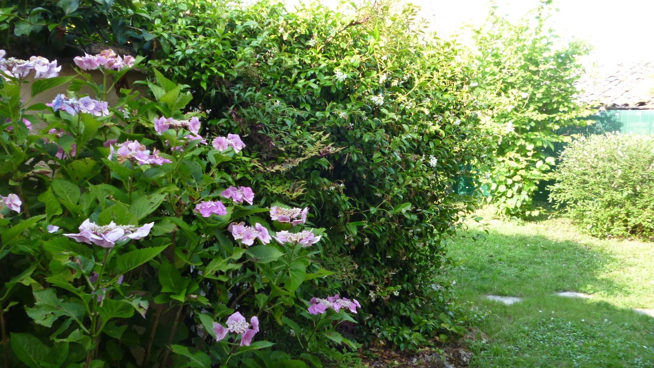 Photo of Outdoor in Le Pizou