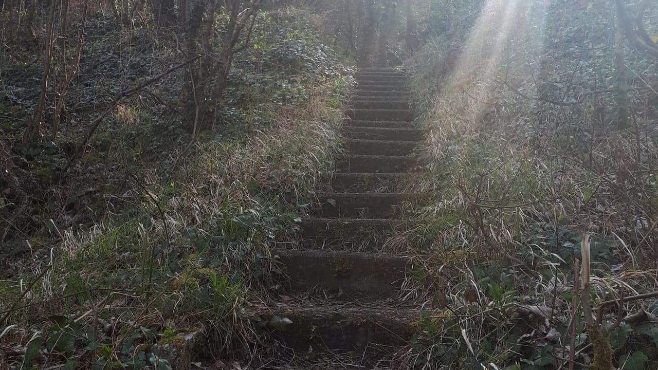 Photo of Outdoor in Paignton