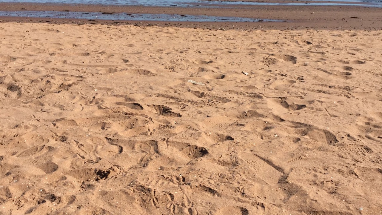 Photo of Others in Paignton