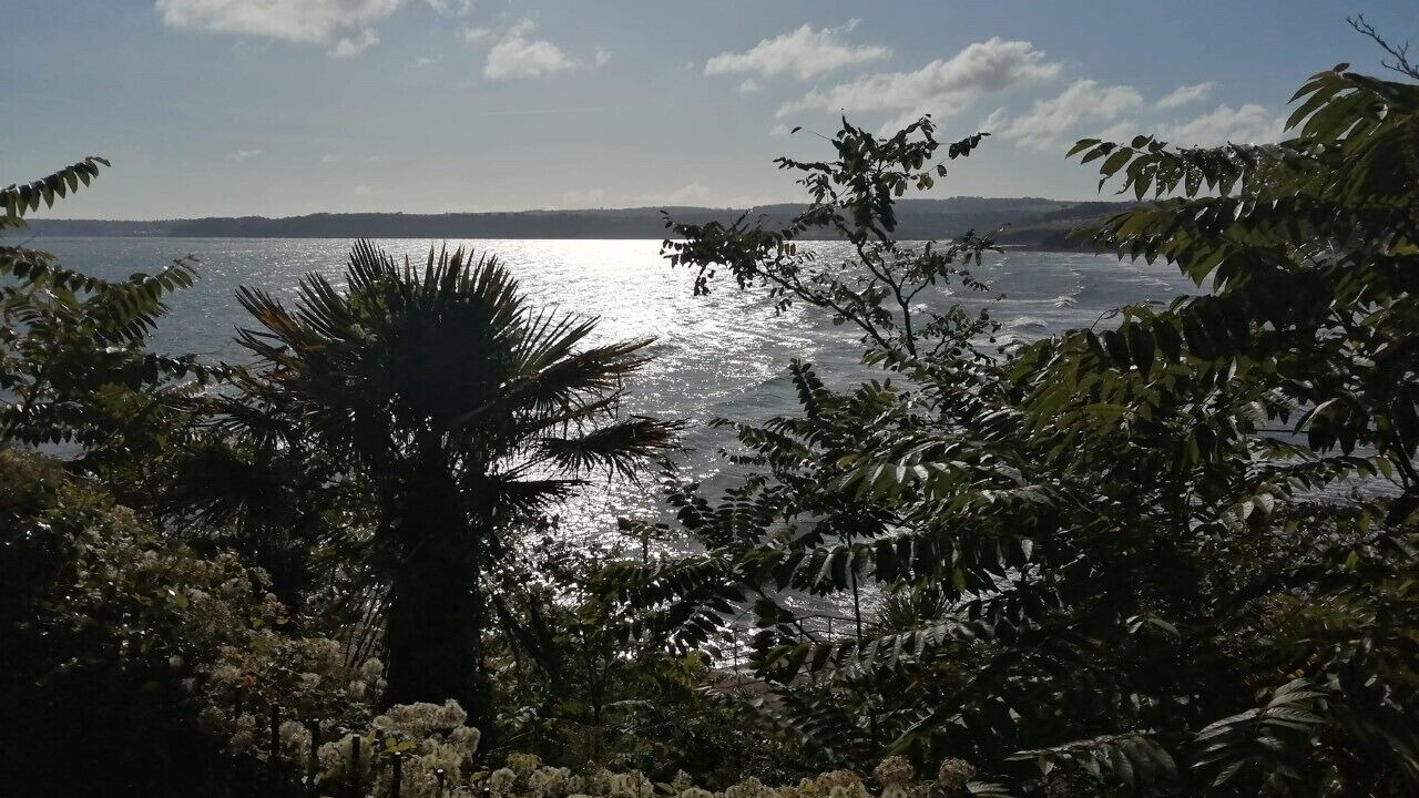 Photo of Others in Paignton