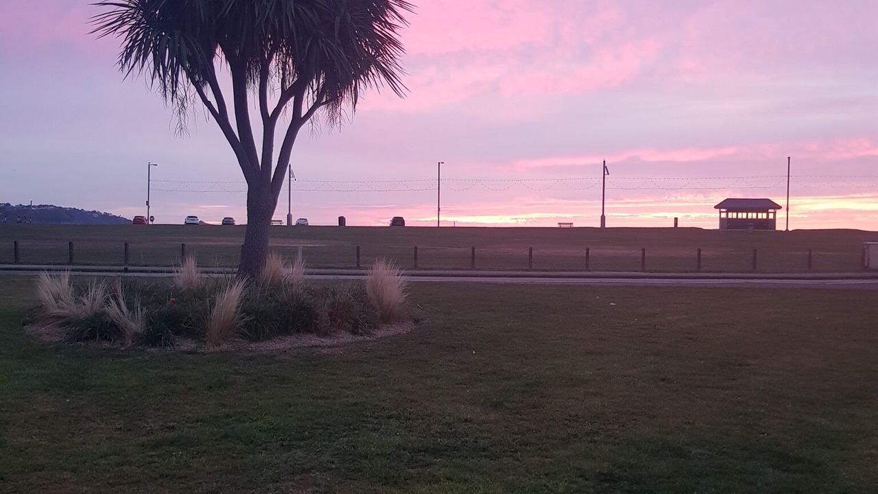 Photo of Others in Paignton