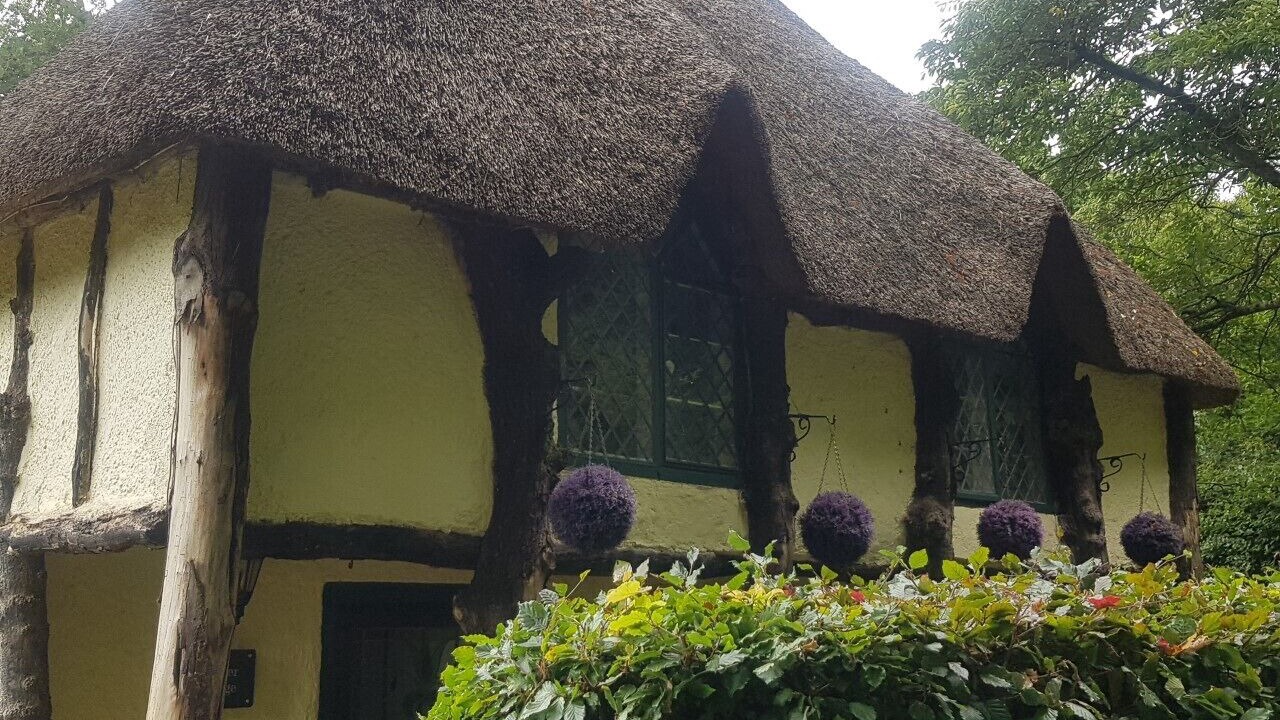 Photo of Outdoor in Paignton