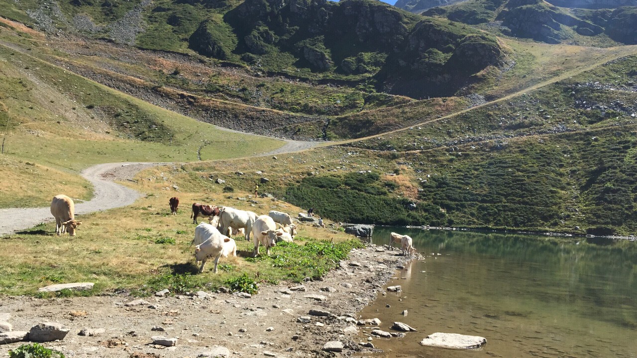 Photo of Others in Prapoutel