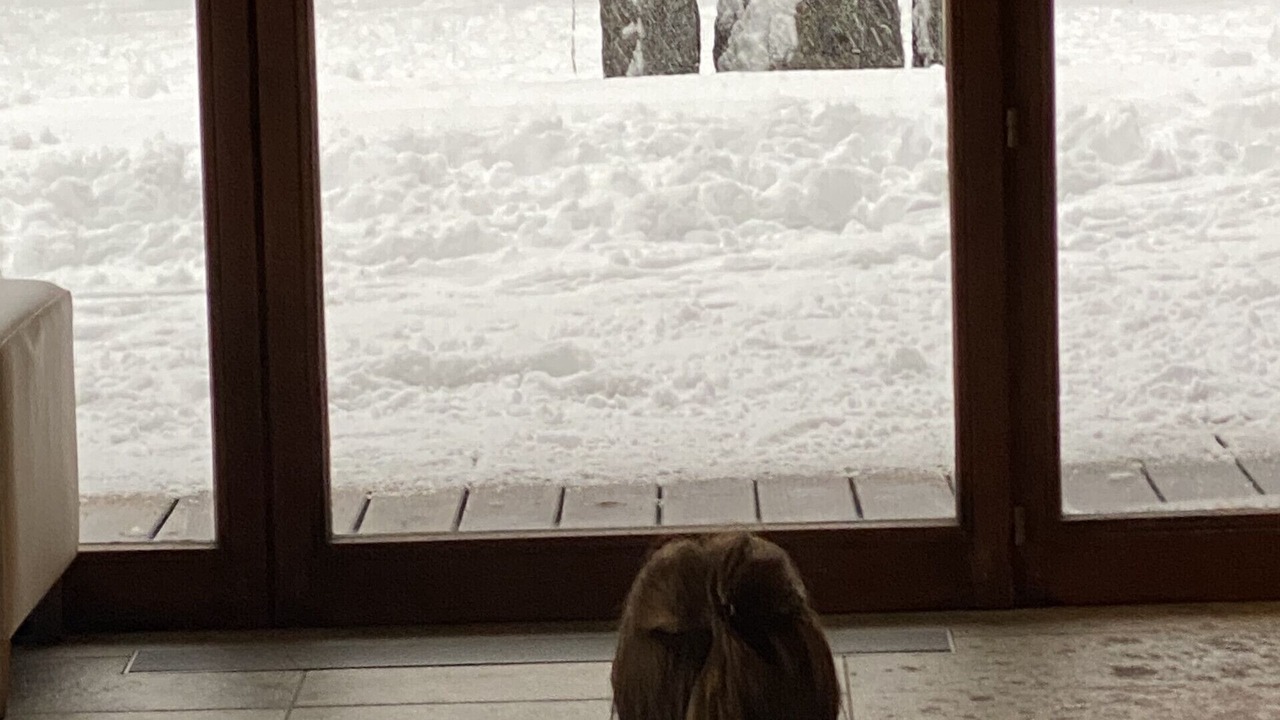 Photo of Others in Prapoutel