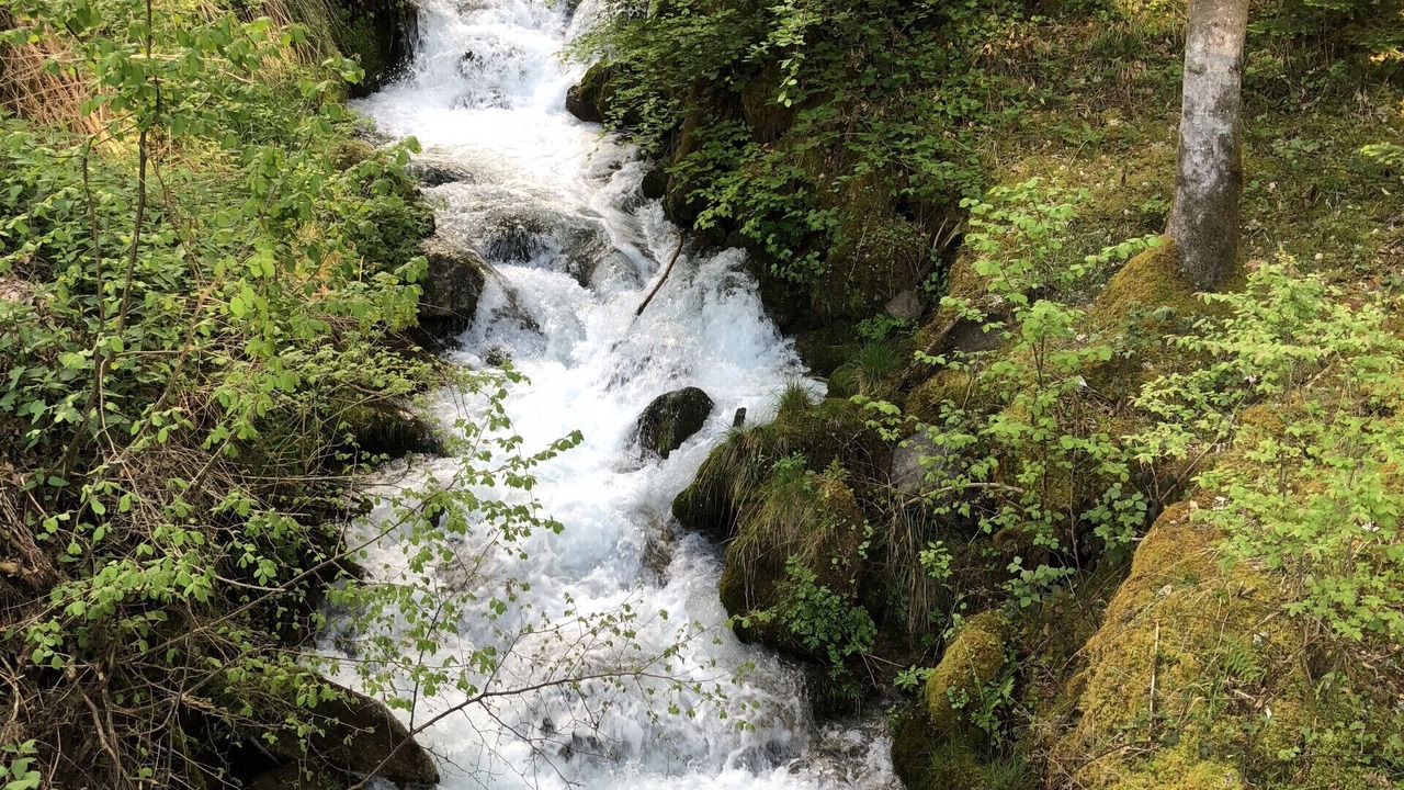 Photo of Others in Prapoutel