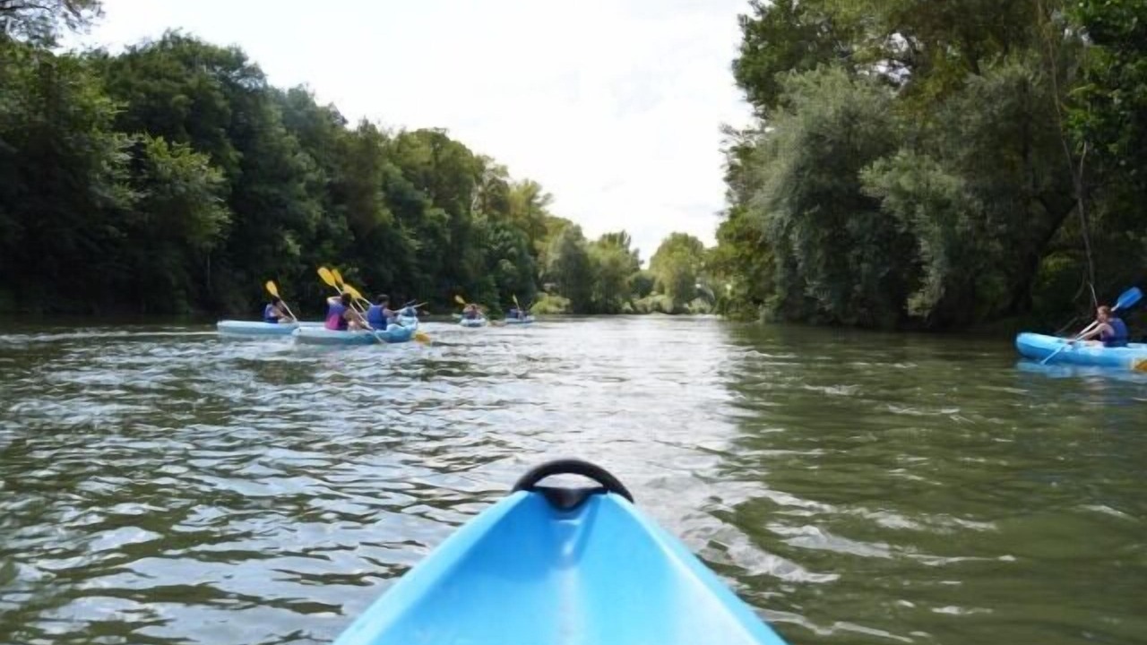 Photo of Others in Martres-Tolosane