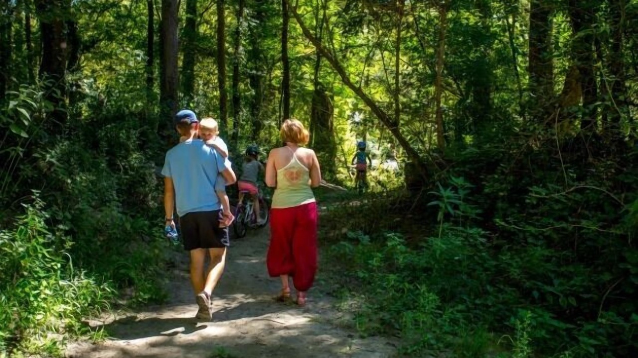 Photo of Outdoor in Martres-Tolosane