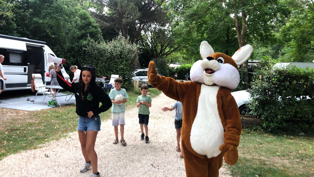 Photo of Outdoor in Martres-Tolosane