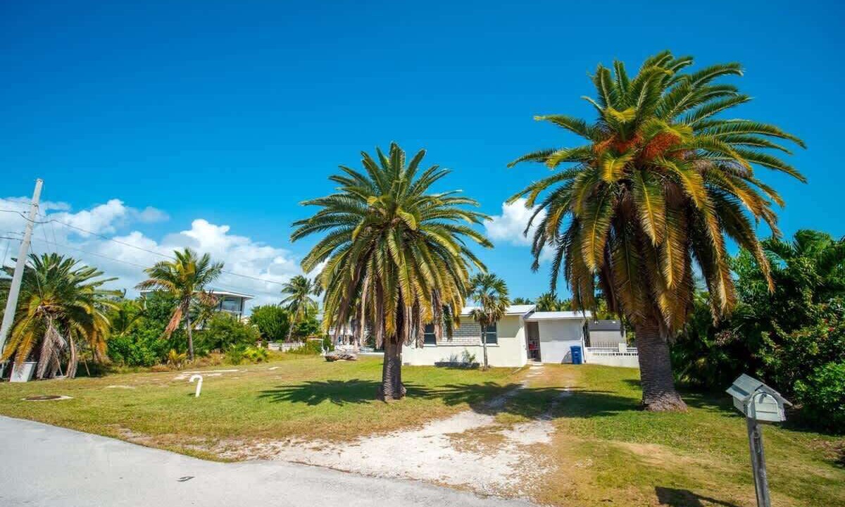 Photo of Outdoor in Bay Point