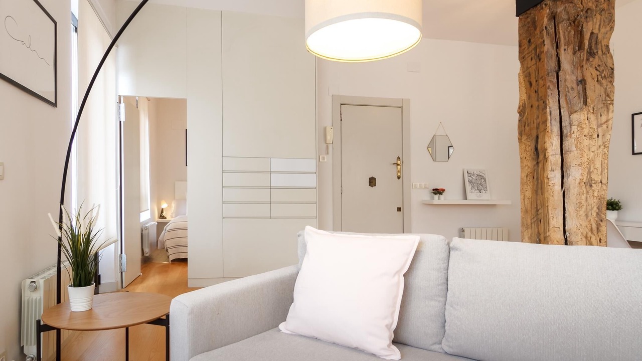 Photo of Livingroom in Ametzola