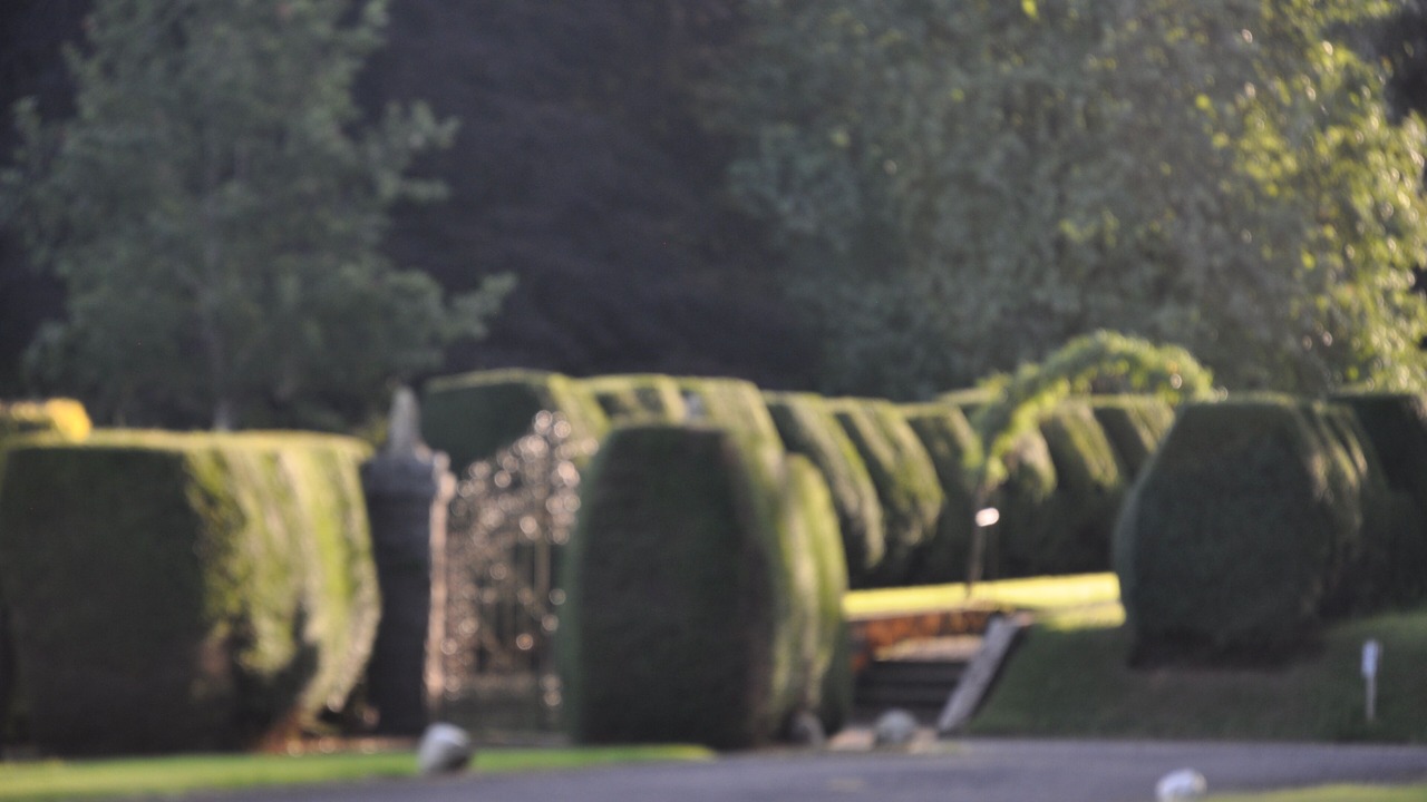 Photo of Others in Kilmarnock