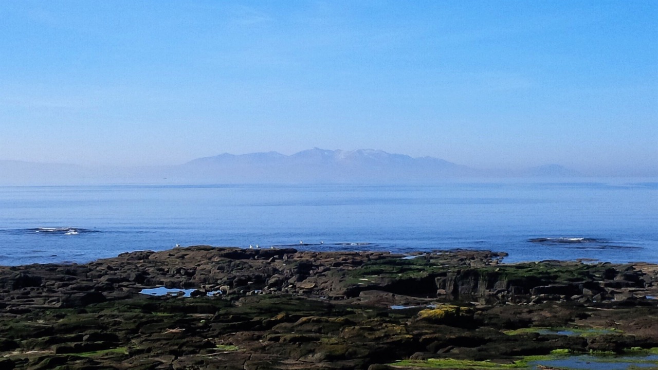 Photo of Others in Kilmarnock