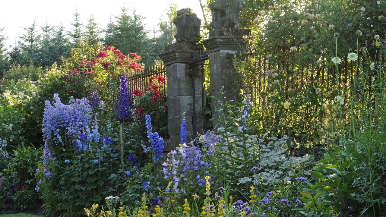 Photo of Others in Kilmarnock