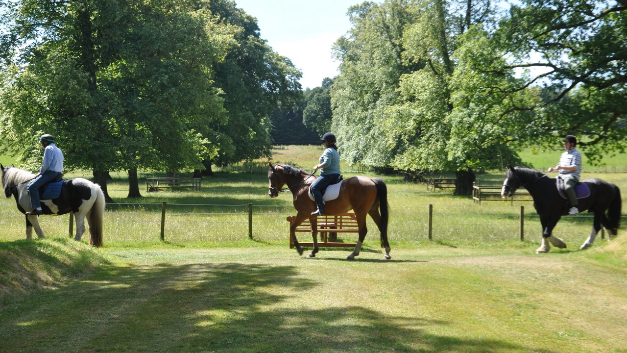 Photo of Others in Kilmarnock
