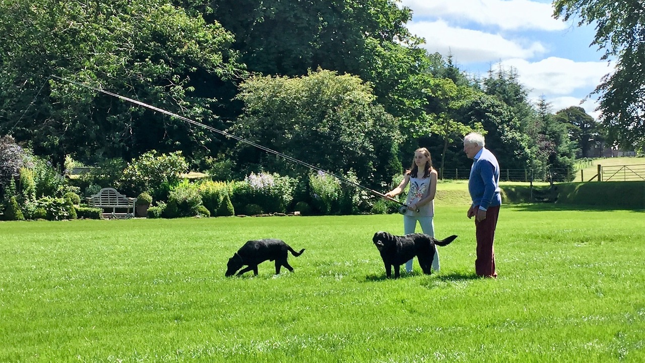 Photo of Others in Kilmarnock