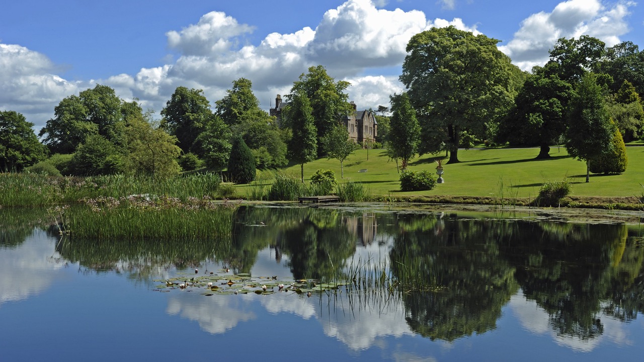 Photo of Others in Kilmarnock